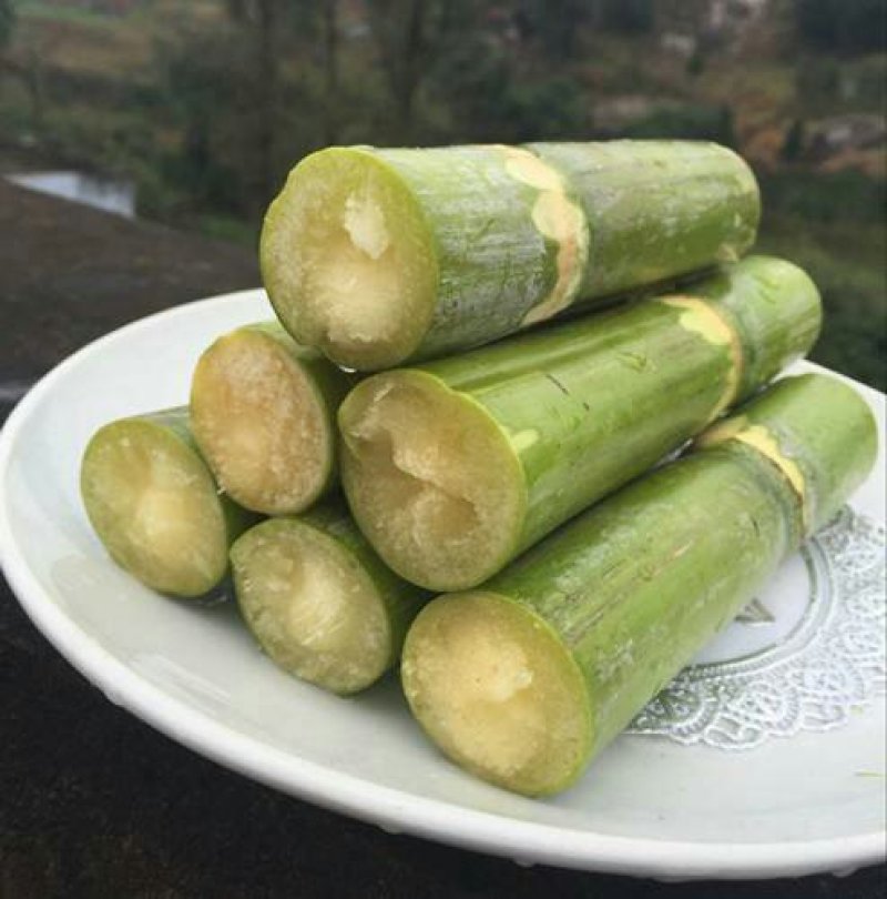 青皮甘蔗绿皮甘蔗水果包邮新鲜当季5斤装非黑皮甘蔗孕妇水果