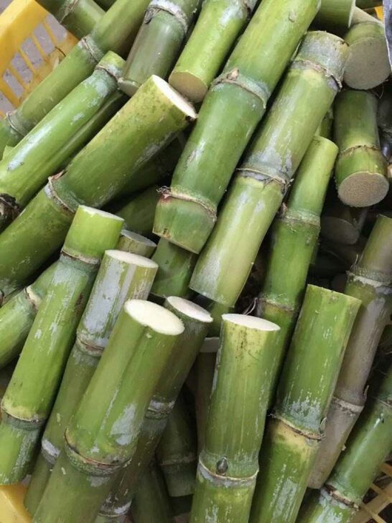 青皮甘蔗绿皮甘蔗水果包邮新鲜当季5斤装非黑皮甘蔗孕妇水果