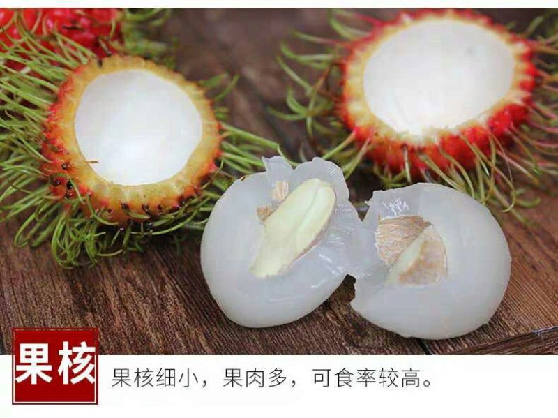 红毛丹