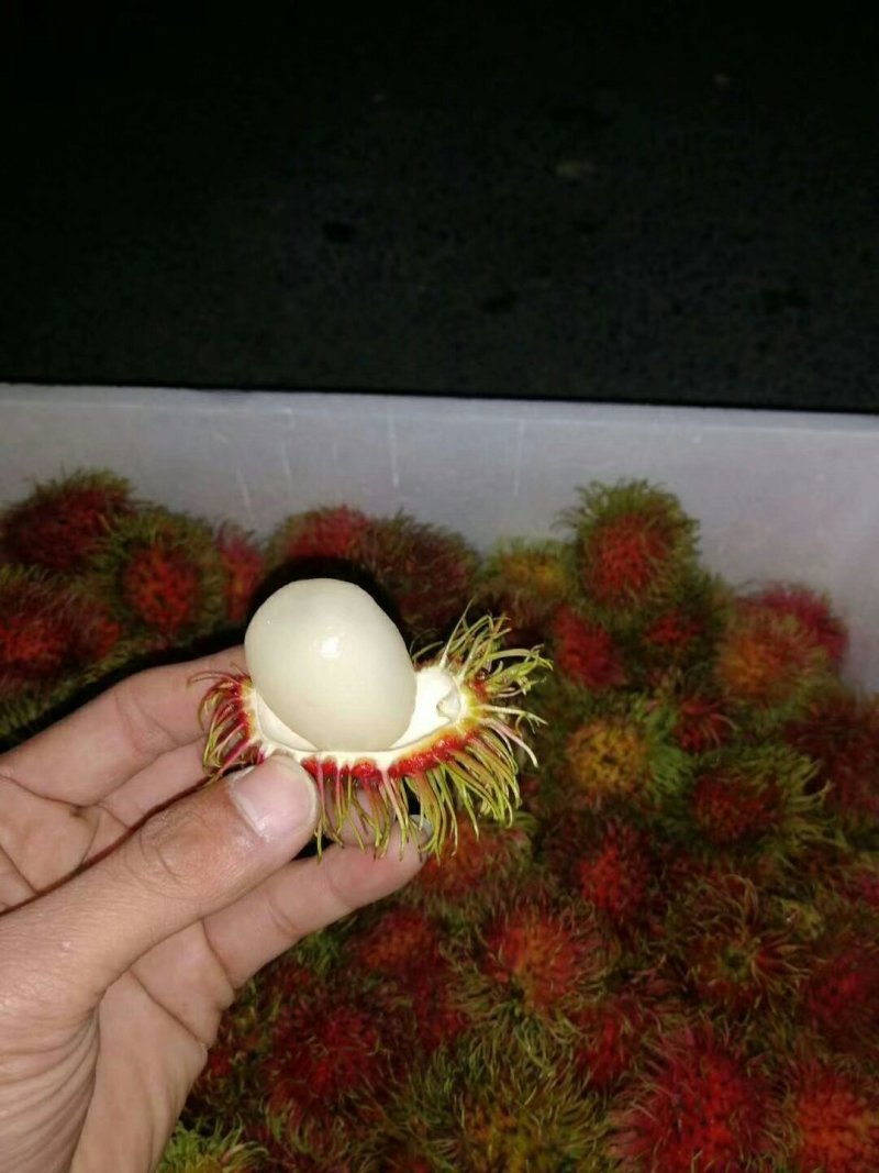 红毛丹