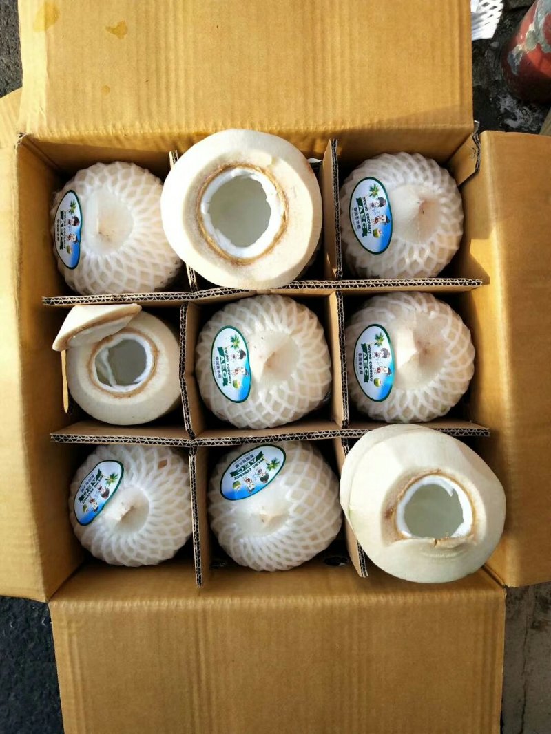 泰国香水椰青