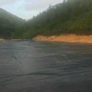 养殖池塘用加厚高密度防渗膜土工膜，沼气池土工膜