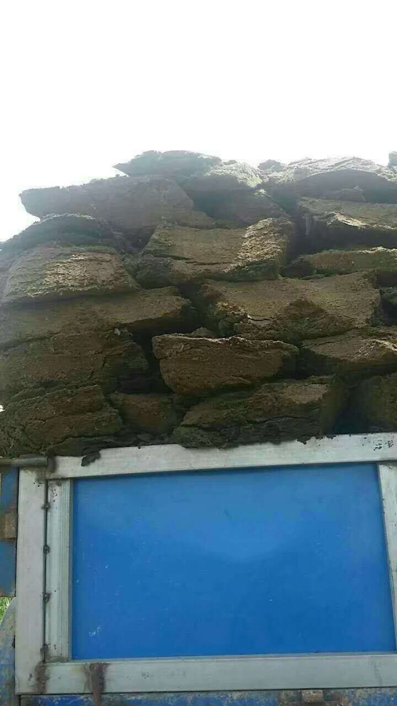 发酵纯羊粪正规发酵不含杂质诚信经营支持视频看货