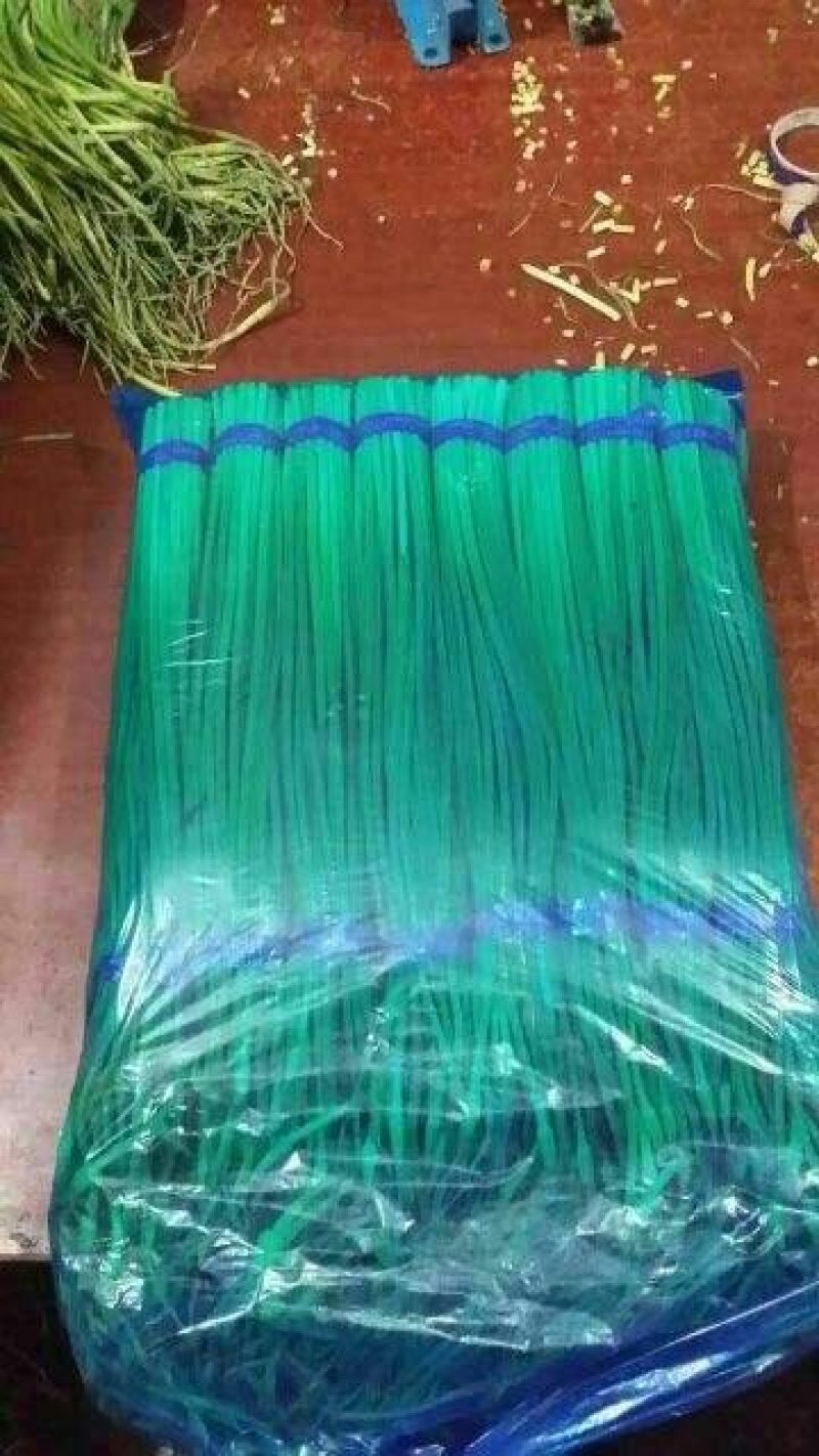 金乡蒜薹精品货源质量好价格优