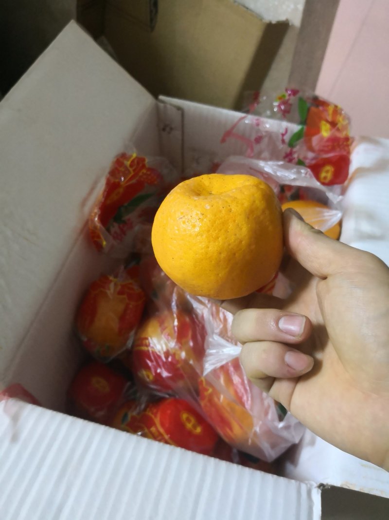 芦柑柑桔