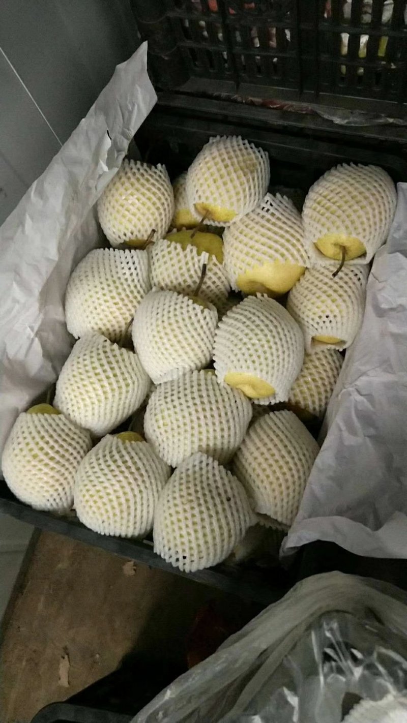 雪花梨