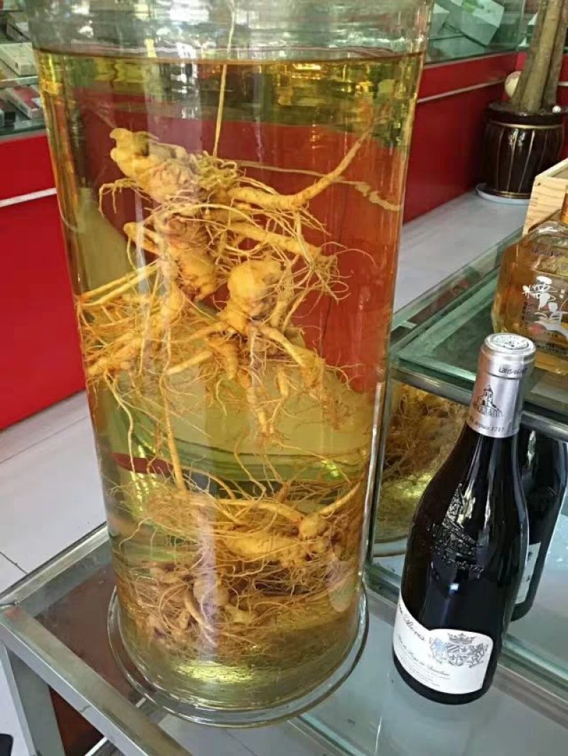 四年三七新鲜活泡酒三七一斤包邮