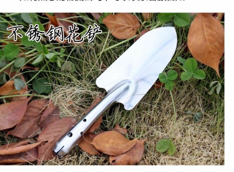 铲不锈钢花铲