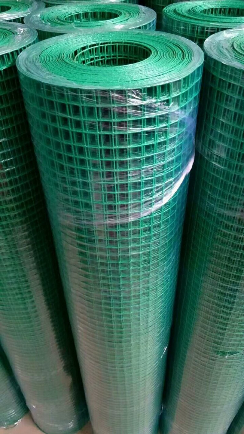 3厘米孔硬塑荷兰网浸塑电焊网铁丝网围网量大优惠