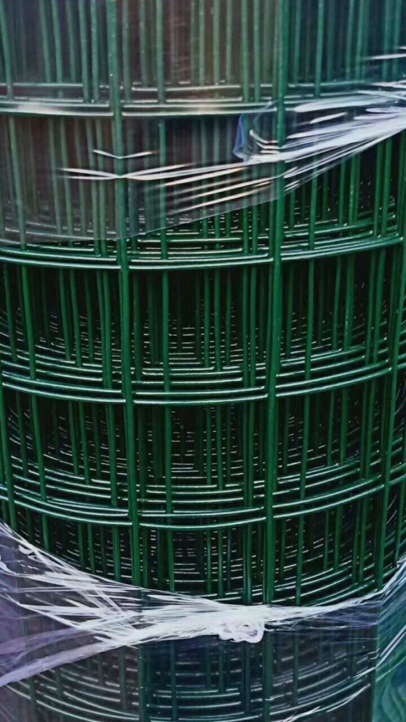 3厘米孔硬塑荷兰网浸塑电焊网铁丝网围网量大优惠
