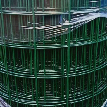 3厘米孔硬塑荷兰网浸塑电焊网铁丝网围网量大优惠