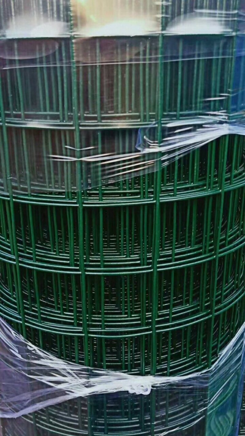 3厘米孔硬塑荷兰网浸塑电焊网铁丝网围网量大优惠