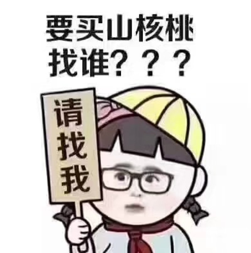 黄山野生山核桃24.8元/罐/250克