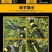 树枝剪