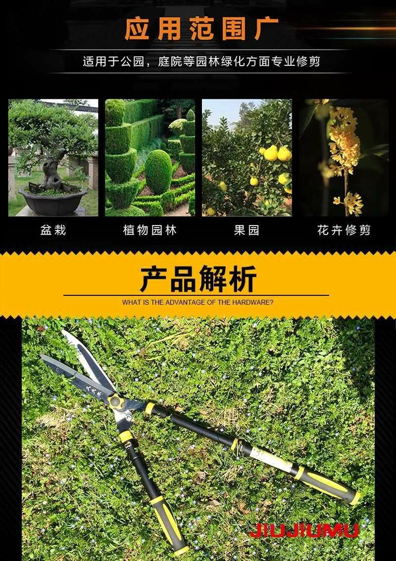 树枝剪