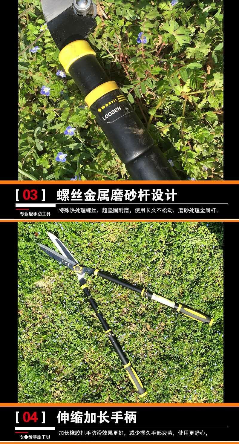 树枝剪
