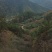 黄山太平猴魁95元/罐/250克