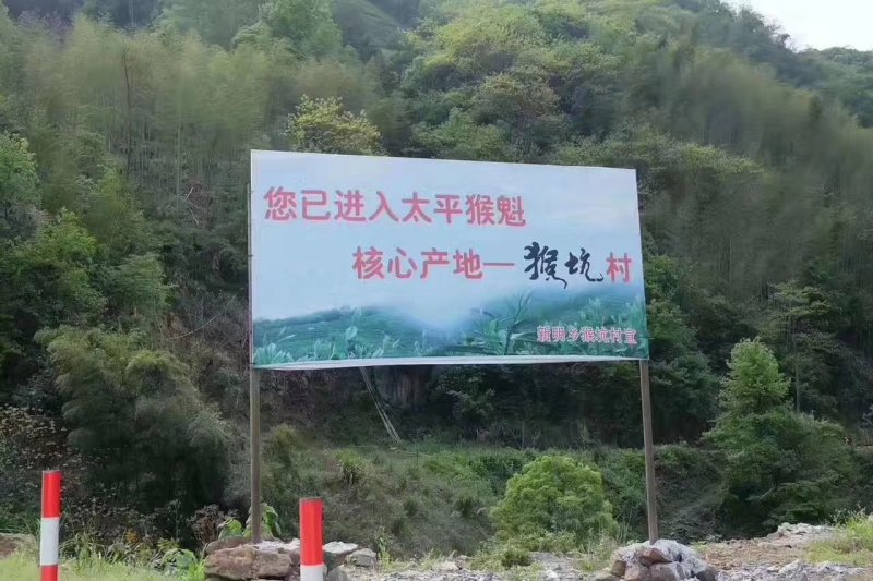 黄山太平猴魁95元/罐/250克