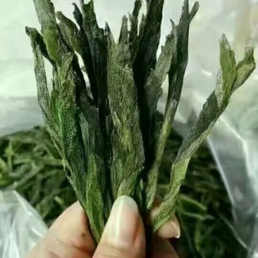 黄山太平猴魁95元/罐/250克
