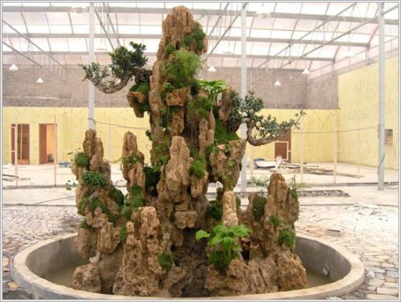 花卉盆景，兰花，假山吸水石