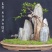 花卉盆景，兰花，假山吸水石