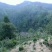 黄山祁门红茶65元/罐/250克