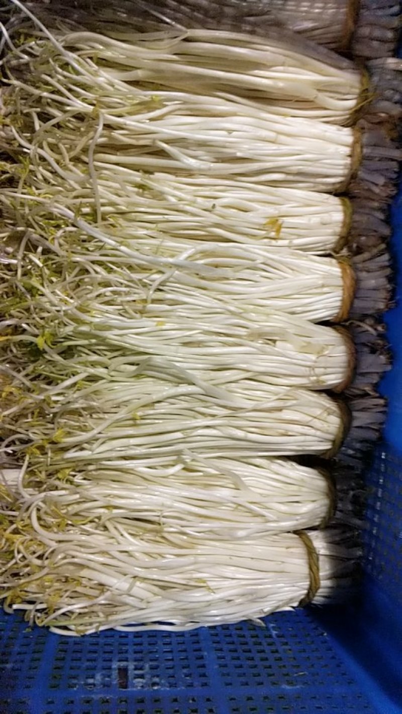 溧阳白芹
