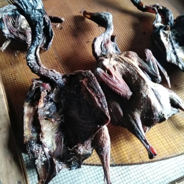 野生烤鸭