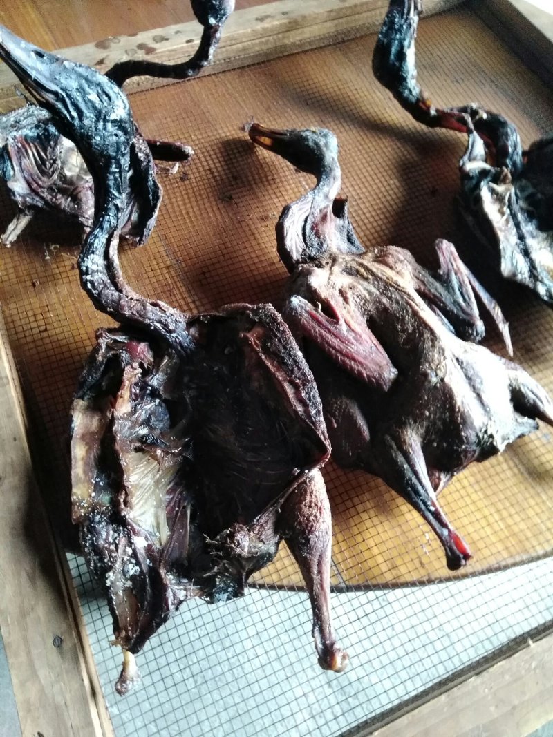 野生烤鸭