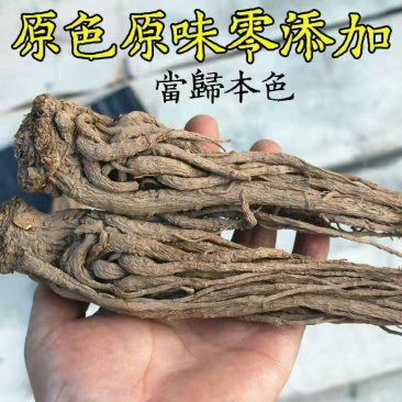 甘肃岷县无硫新货大当归，产地发货，精选特大条，量大优惠，