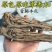 甘肃岷县无硫新货大当归，产地发货，精选特大条，量大优惠，