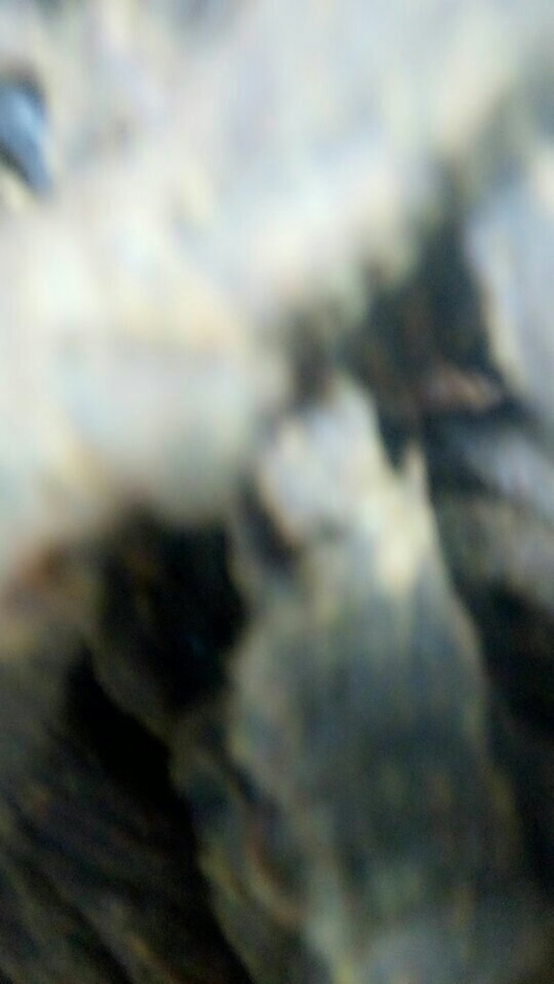 风干牛肉干好吃又新鲜,不加任何添加剂
