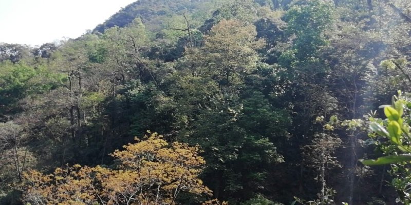 普洱邦崴龙洞古韵