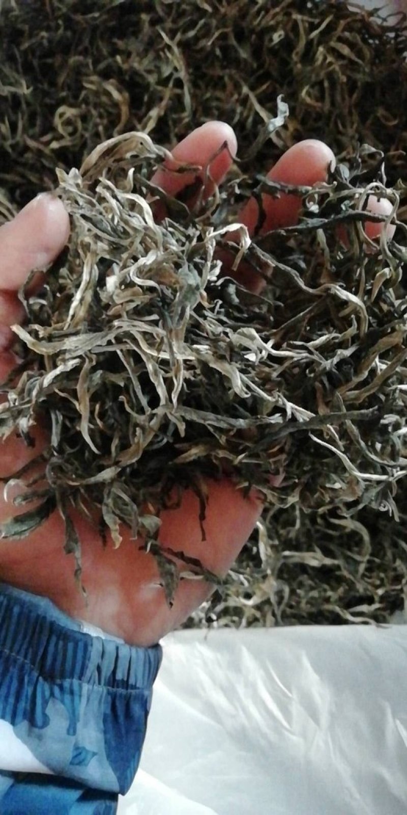 普洱邦崴龙洞古韵