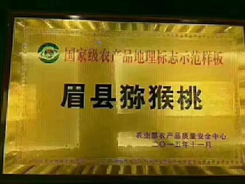 绿心大果猕猴桃全网平台一件代发发货招代理