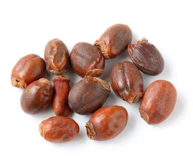 中药材荔枝核荔仁枝核大荔核中药材批发零售