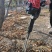 冲击铲式断根挖树机农用植树栽树汽油挖树机