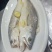 拉菲黄鱼