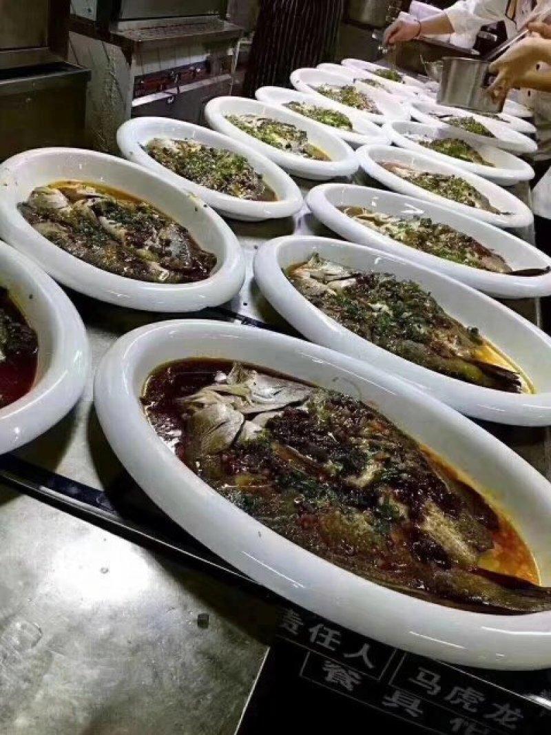 拉菲黄鱼