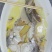 拉菲黄鱼