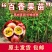黄金百香果苗紫香一号满天星四季百香果金霸百香果苗