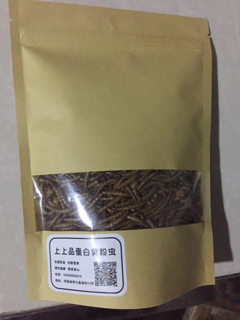 黄粉虫