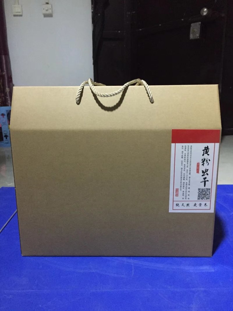 黄粉虫