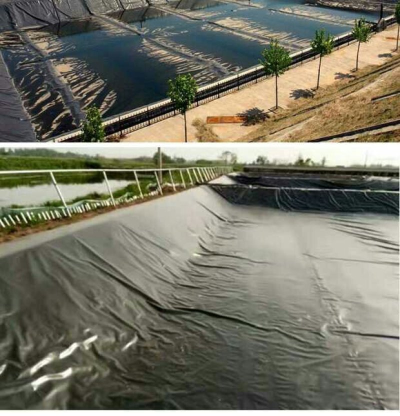 防水膜水产养殖鱼塘水池护坡虾池防参膜hdPe土工膜
