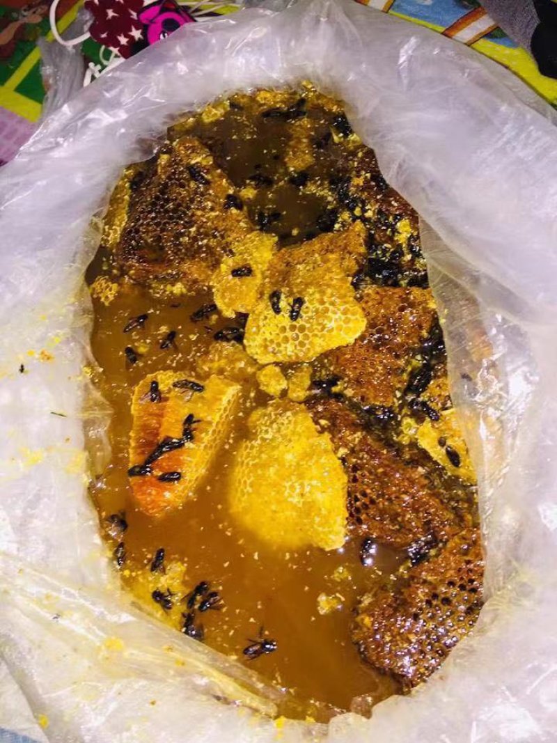 野生蜂蜜