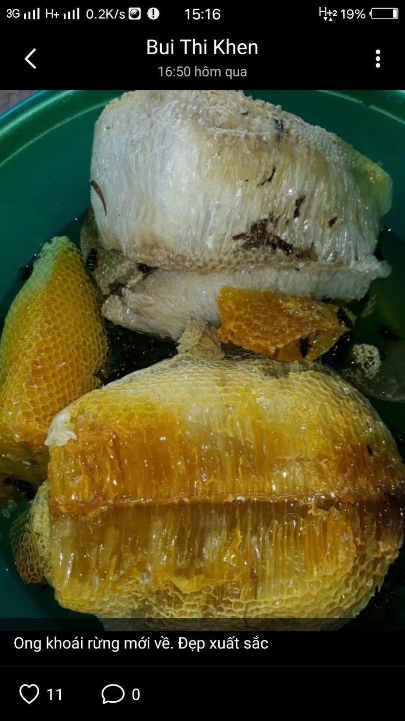 野生蜂蜜