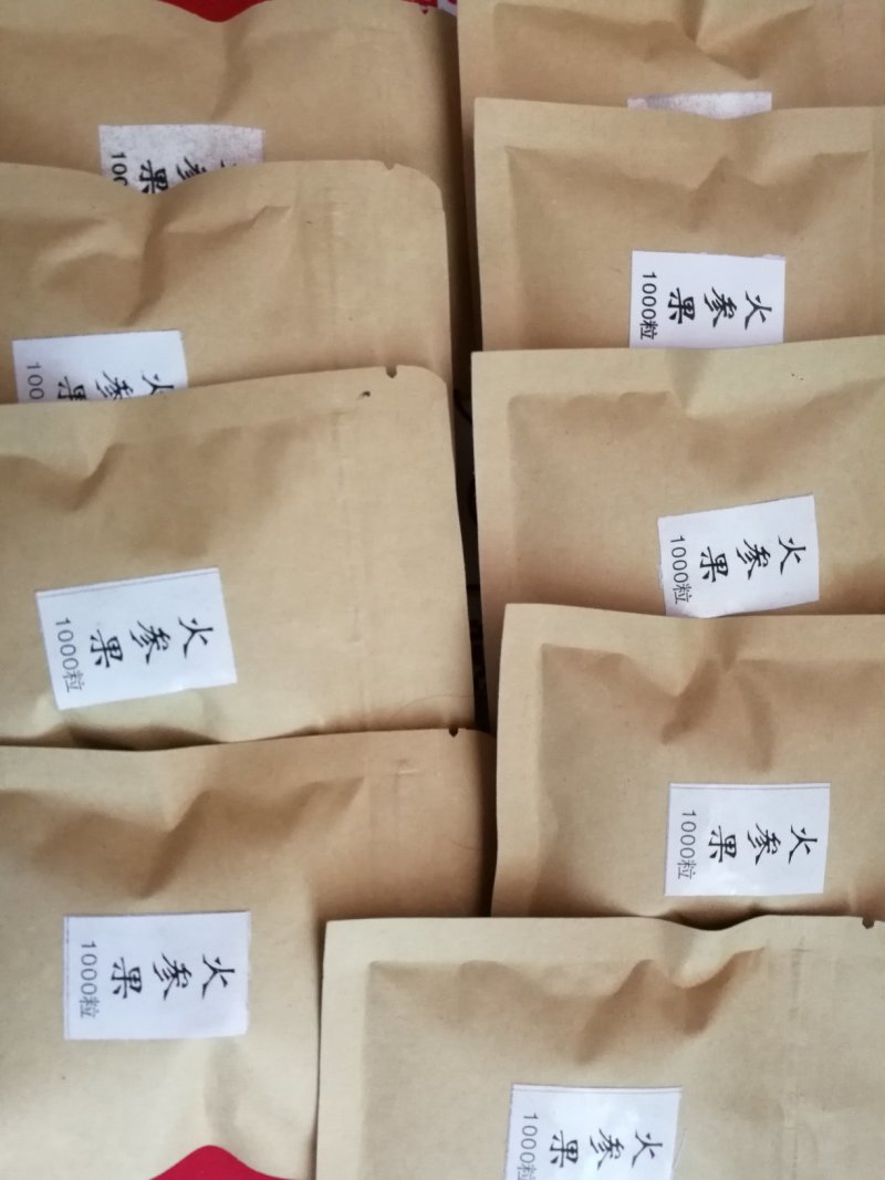 刺角瓜火参果种籽火星果精选种子