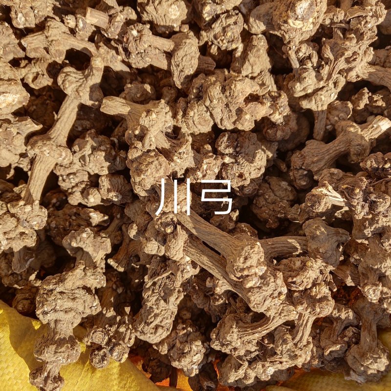 川芎