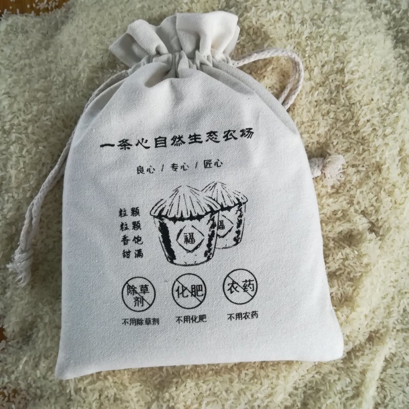 有机种植大米