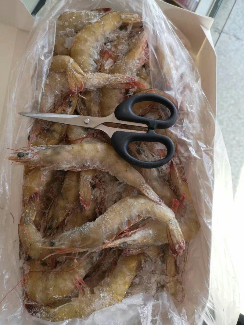 海捕虾礼盒超级牛
